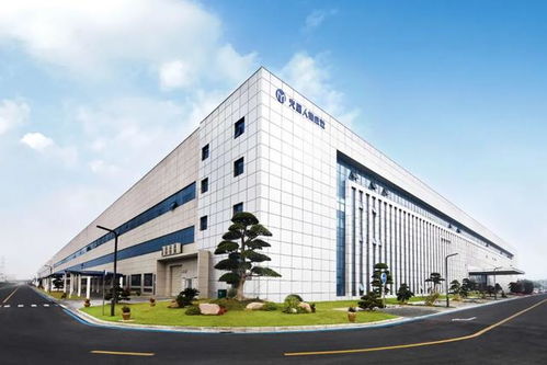 這一代新中產(chǎn)為何青睞技術(shù)服務(wù)